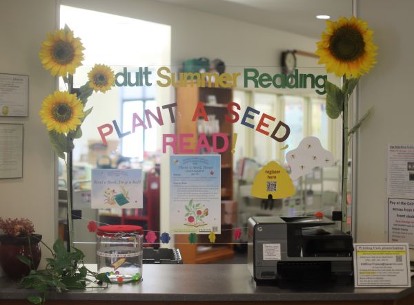 Adult summer reading display