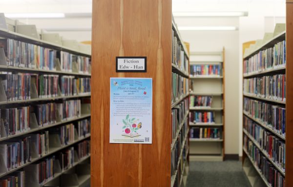photo of adult fiction collection