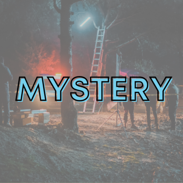 Mystery Graphic