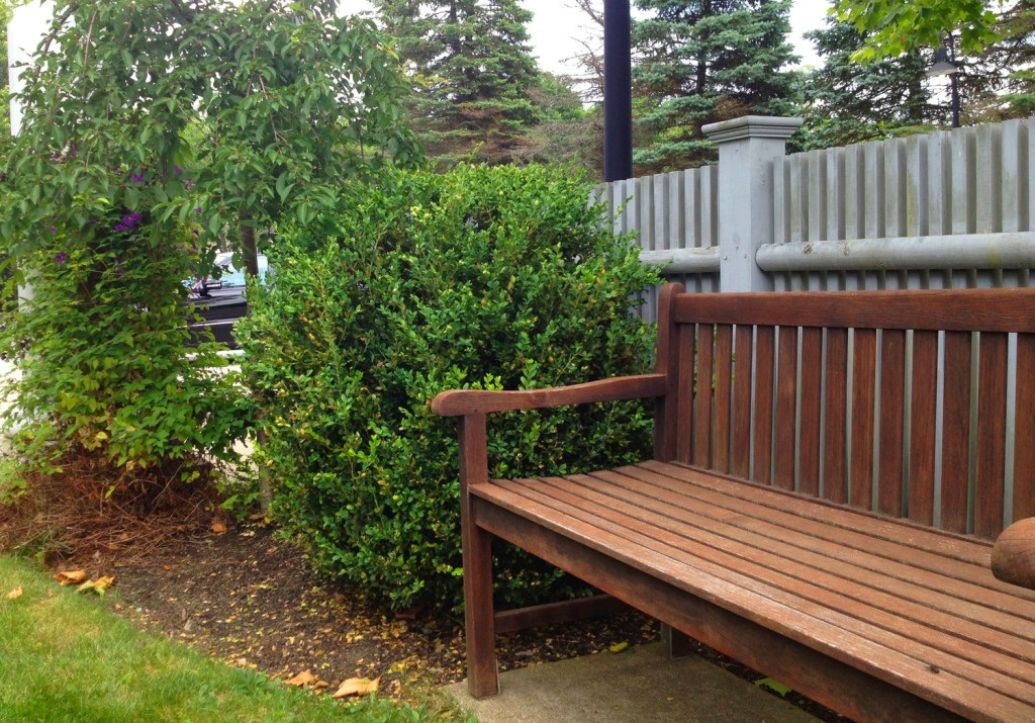 Photo of the wooden bench in the front garden of the rowley public library