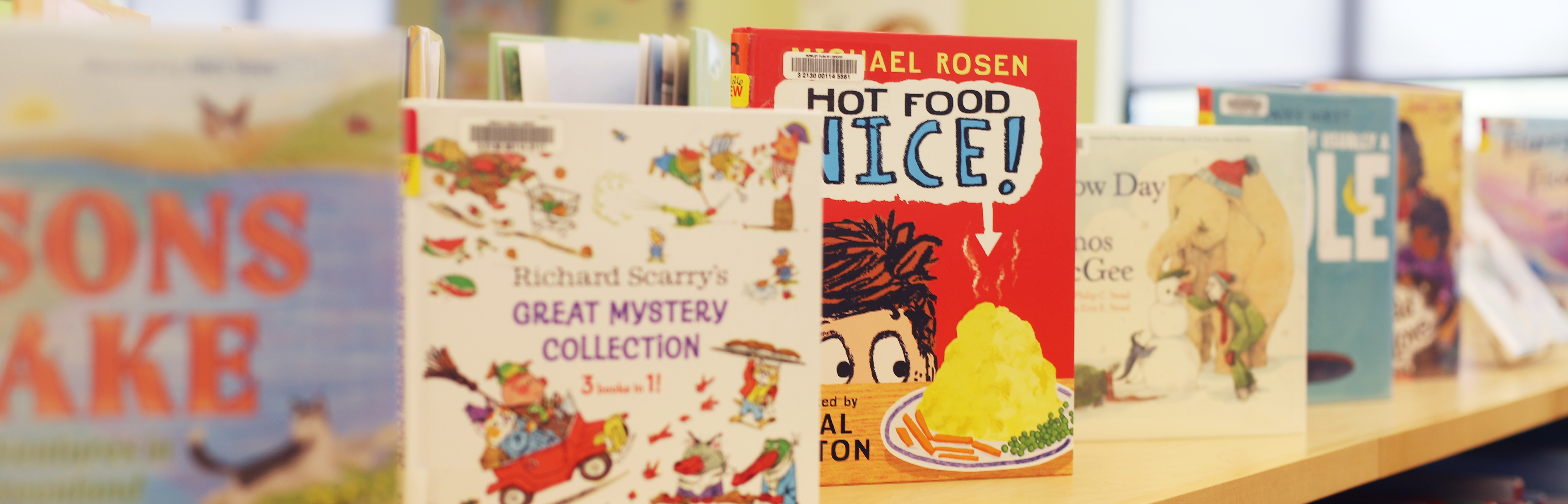 New picture book display in the children's room